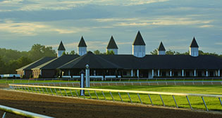 Ocala Horse Farms